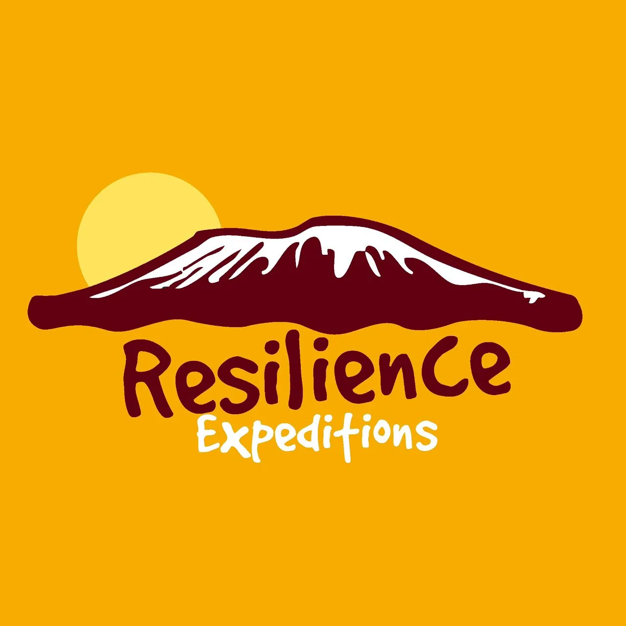 Resilience Safaris