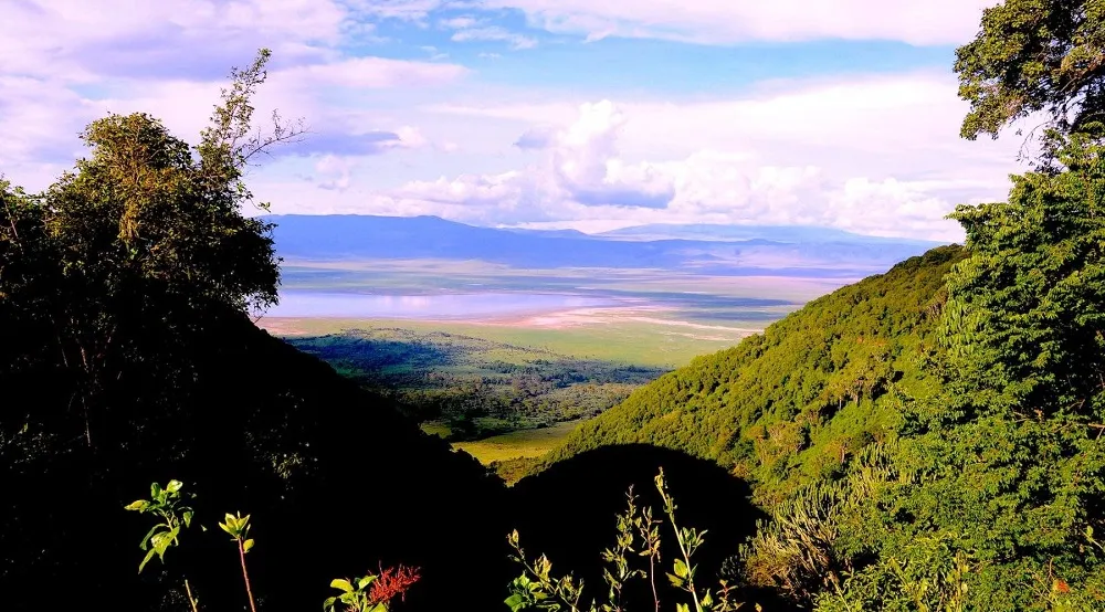 Ngorongoro Crater descent with wildlife