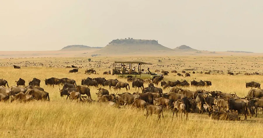 Mid-range private Tanzania safari most popular